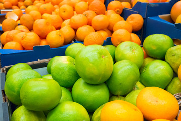 Pile of fresh green pamelos and oranges
