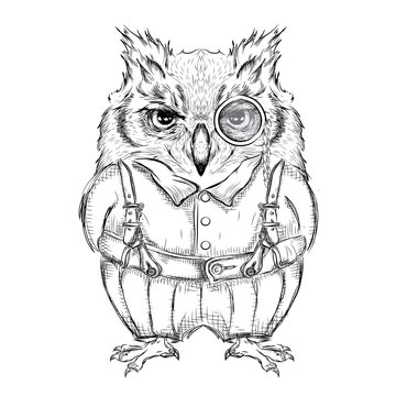 Funny owl clothing. Drawing by hand. Vector illustration