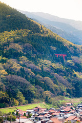 Small Japanese Town / Houses of Tsuwano village in Yamaguchi Prefecture (Japan) and red Torii gate...
