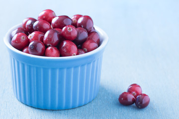 Preiselbeeren in einer blauen Schüssel