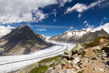 Beautiful panorama of the breathtaking Aletsch glacier as seen from the Bettmer alp in switserland, on a sunny day with clouds in summer