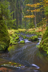 Obraz premium Autumn brook