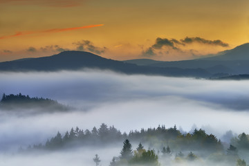 Fototapeta na wymiar Foggy morning in the landscape