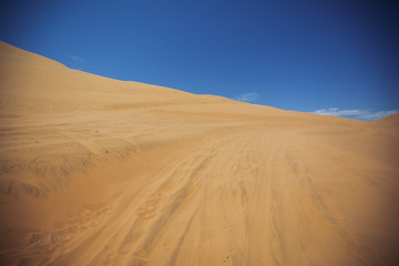 Fototapeta na wymiar Sands dunes in the desert