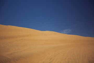 Sands dunes in the desert