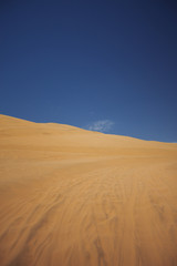 Sands dunes in the desert