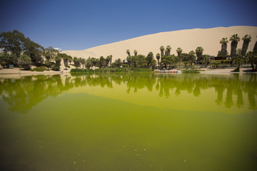 Obraz premium oasis in the dunes. Peru