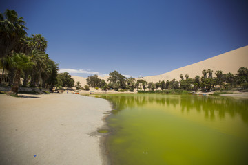 Fototapeta na wymiar oasis in the dunes. Peru