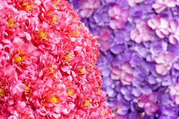 purple orchid and red flower for texture background