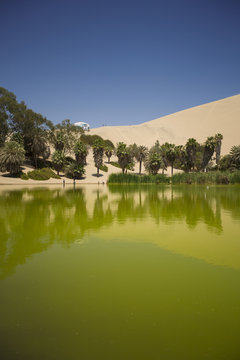 oasis in the dunes. Peru