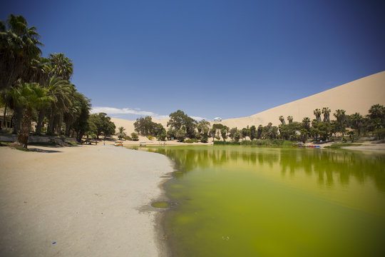 oasis in the dunes. Peru