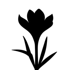 Vector black silhouette of a crocus flower isolated on a white background.