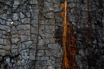 Burned texture