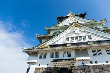 Obraz premium Traditional Osaka castle