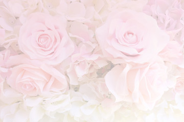 Fototapeta na wymiar Soft focus of roses flower on sweet color