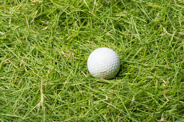 Old golf ball on green grass