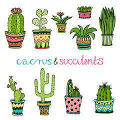 Cactuse and succulent hand drawn set. Doodle florals in pots. Vector colorful cute interior plants - 99175875