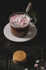 Hot chocolate with marshmallows