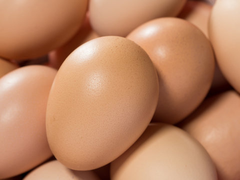 Egg, background of fresh brown chicken eggs