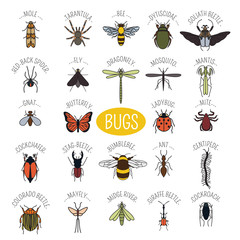 Insects icon flat style. 24 pieces in set. Colour version © a7880ss