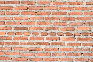 Brick wall texture for background.