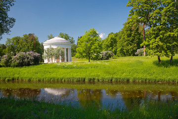Fototapeta premium Landscape, Pavlovsk Park
