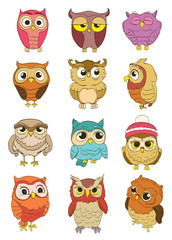 set of cartoon owls. vector