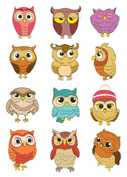 set of cartoon owls. vector