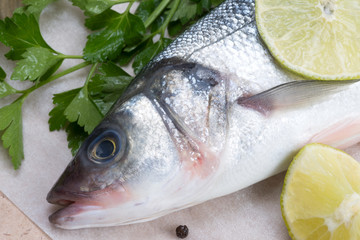 fresh fish - sea bass