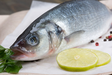 fresh fish - sea bass