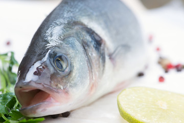 fresh fish - sea bass