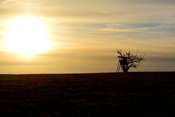 Abendstimmung auf dem Land mit Hochsitz