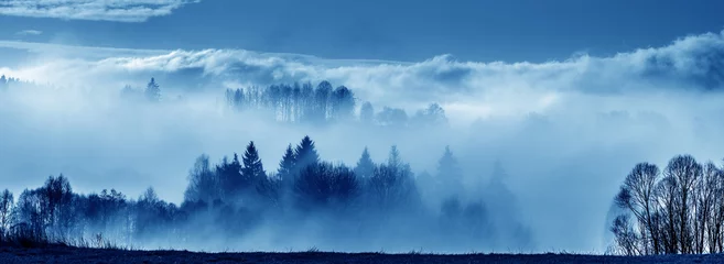 Gardinen Wälder morning fog and a forest  © Vera Kuttelvaserova