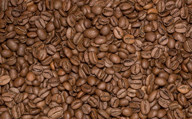 Coffee beans