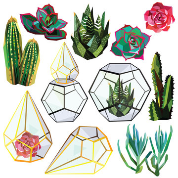 cactus succulent flower low poly set with glass terrariums vector illustration isolated on white background.