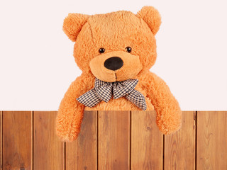 Fluffy plush teddy bear