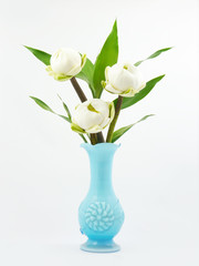 Water lily lotus in blue vase .