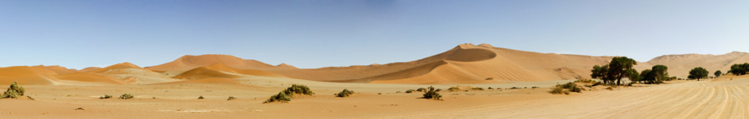 Fototapeta na wymiar Sand dune Namibia - Dead Valley
