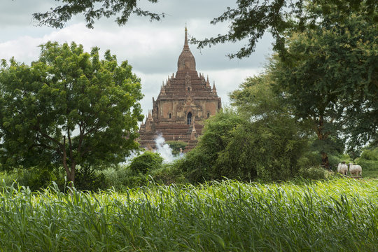 Templo budista en Baga, Birmania