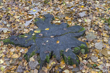 Star-shaped stump.