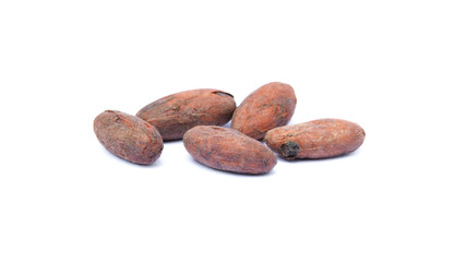 Isolated roasted cocoa beans