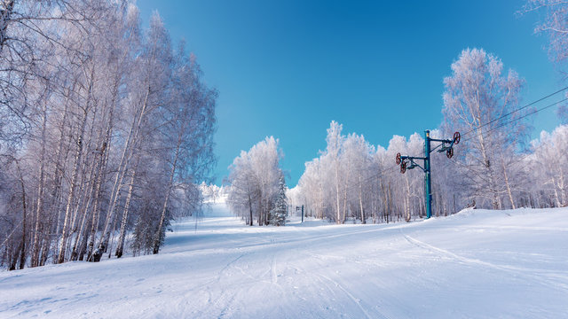 Empty winter sport resort view with snow, trees and blue sky