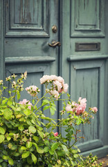 Fototapeta na wymiar Green door with rosebush