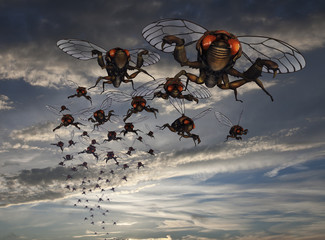Swarm of Cicadas in Evening Sky