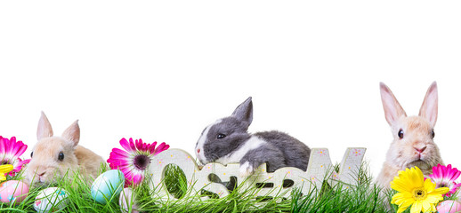easter ost card 