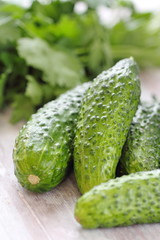 Ingredients for salad