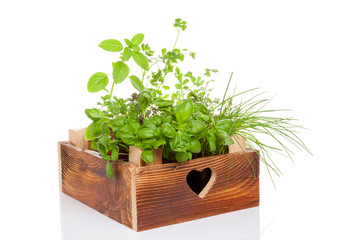 Herbs in wooden crate.