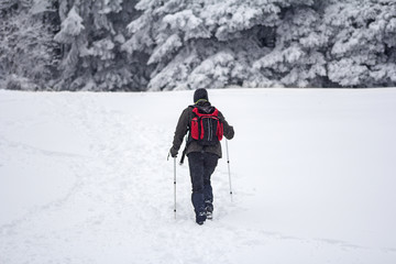 Fototapeta na wymiar Mountaineer in the snow forest