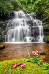 Obraz na płótnie Canvas beautiful waterfall with pink snapdragon flower in foreground