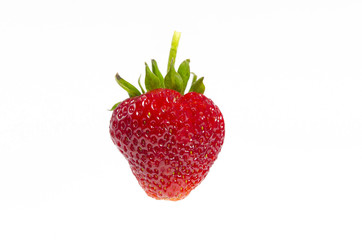 Juicy, ripe, sweet strawberries